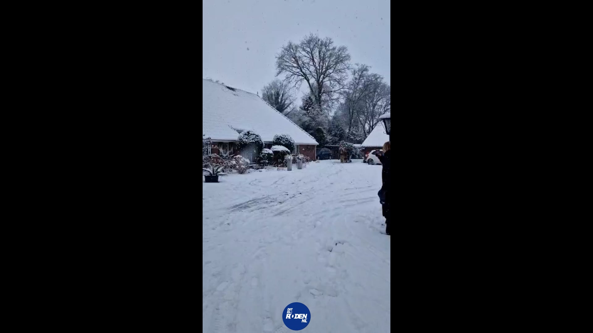 Sneeuwpret op camping Hoppenhof in Peize