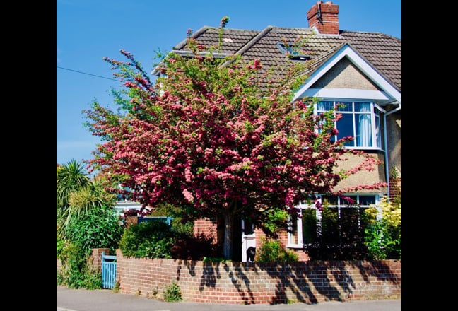  Large Double Room  -  Upper Shirley Main Photo