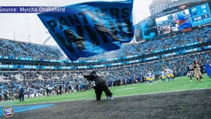 Panthers vs Rams, This Saturday