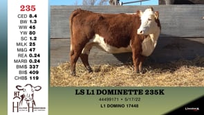 Lot #235 - LS L1 DOMINETTE 235K