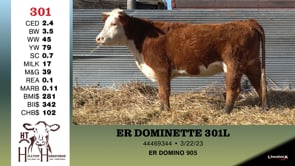 Lot #301 - ER DOMINETTE 301L