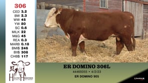 Lot #306 - ER DOMINO 306L