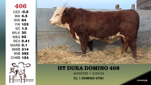 Lot #406 - HT DURA DOMINO 406