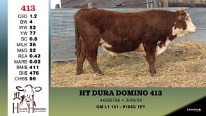 Lot #413 - HT DURA DOMINO 413