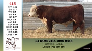Lot #415 - L1 DOM 2114 1920 2415