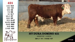 Lot #421 - HT DURA DOMINO 421