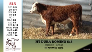 Lot #513 - HT DURA DOMINO 513