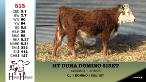 Lot #515 - HT DURA DOMINO 515ET