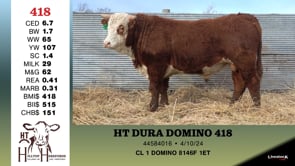 Lot #418 - HT DURA DOMINO 418