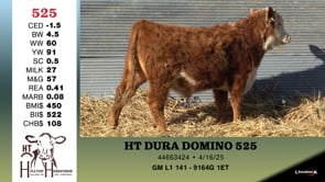 Lot #525 - HT DURA DOMINO 525