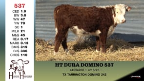 Lot #537 - HT DURA  DOMINO 537