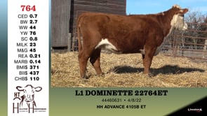 Lot #764 - L1 DOMINETTE 22764ET