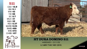 Lot #511 - HT DURA DOMINO 511