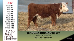 Lot #517 - HT DURA DOMINO 25517