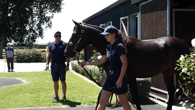 Karaka 2026 | Carlaw Park