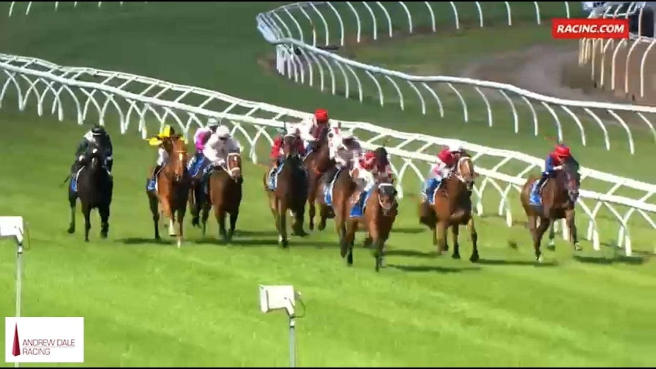 ADR - Fromista Winners