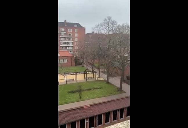 Huge room@st johns wd - view of the park, 01/02/26 Main Photo