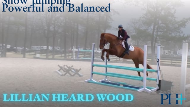 Show Jumping - Powerful and Balanced | Lillian Heard Wood