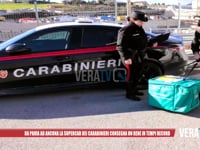 Da Pavia ad Ancona la supercar dei carabinieri consegna un rene in tempi record