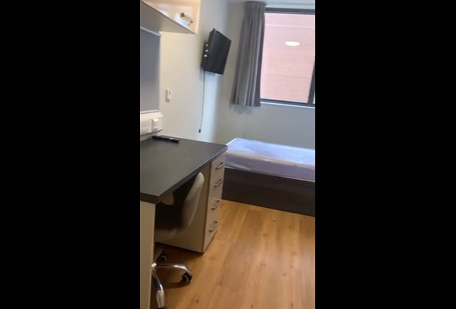 ‼️Urgent Needed‼️ Main Photo