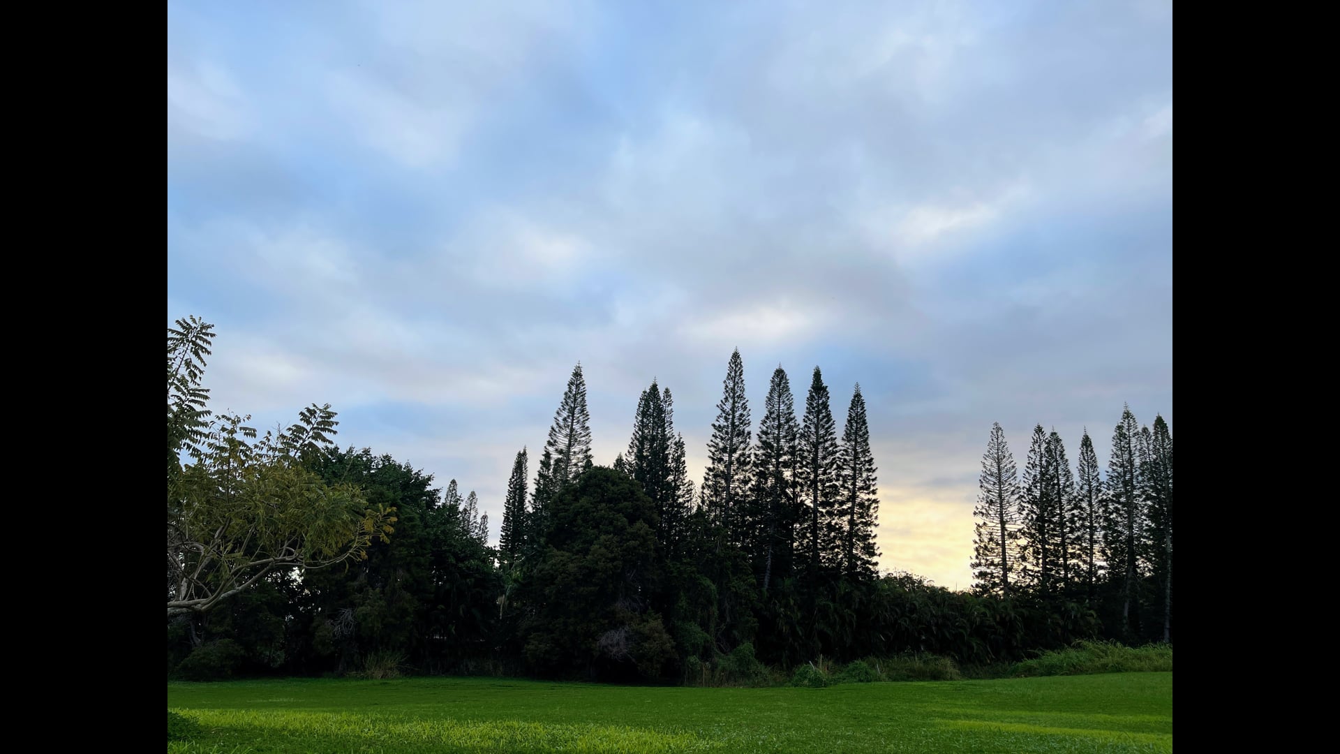 12 :: December 03: What We are Learning about Equanimity