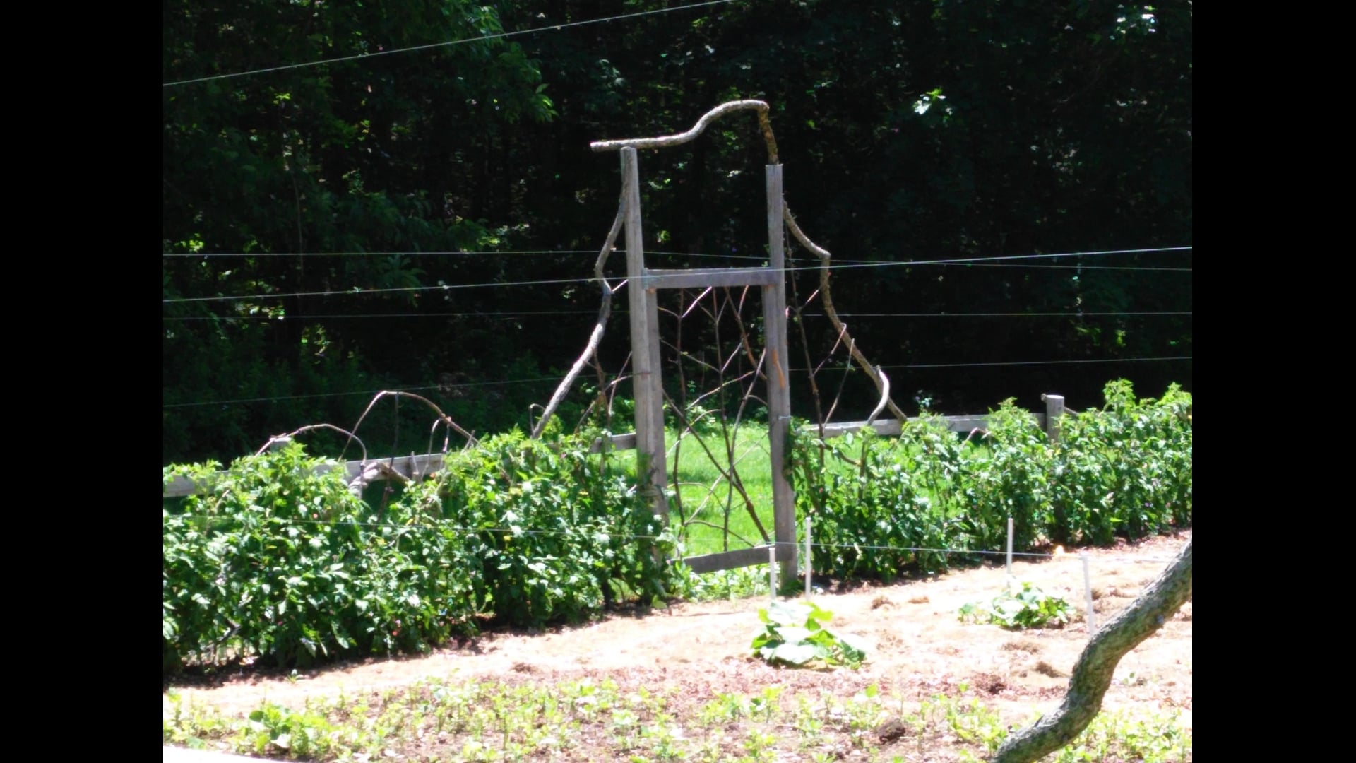 12 :: December 10: Taking Refuge in the 4 Brahmaviharas During Winter and the Holiday Season