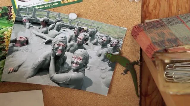 Gecko and the Mud Bath on Vimeo