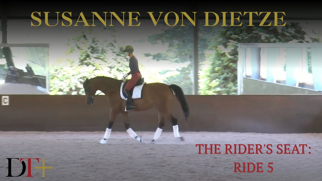 The Rider's Seat, Ride 5 | Susanne von Dietze