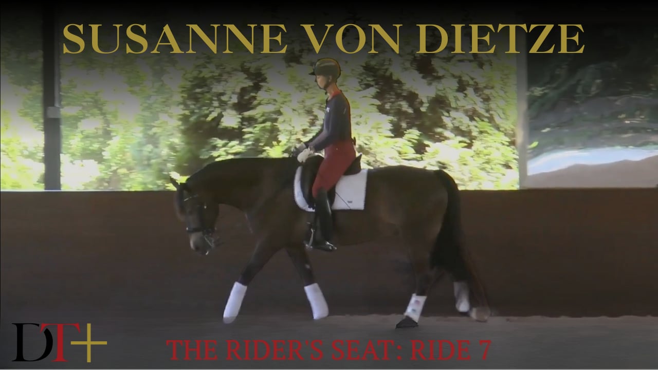 The Rider's Seat, Ride 7 | Susanne von Dietze