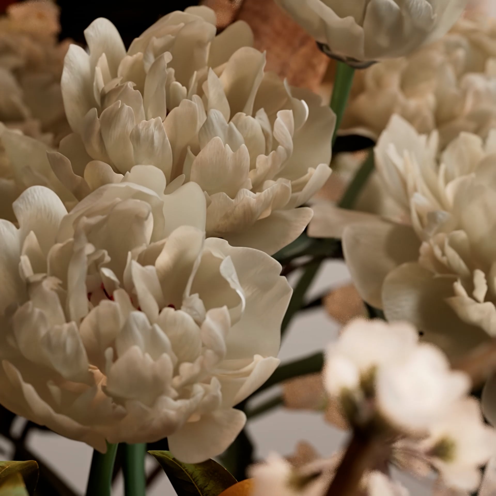 Thumbnail de la vidéo