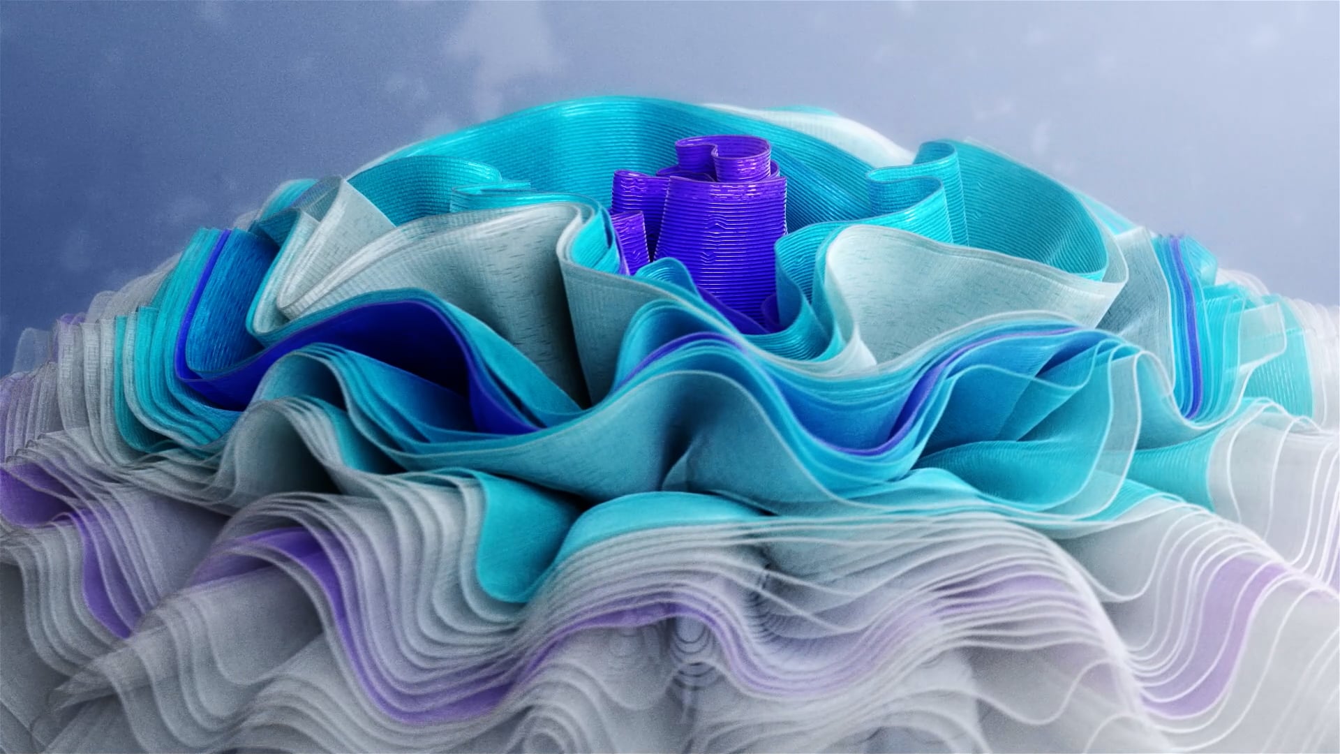 Thumbnail de la vidéo