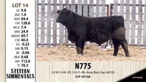 Lot #14 - N775
