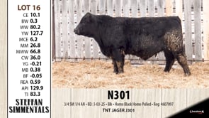 Lot #16 - N301