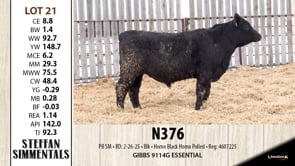 Lot #21 - N376