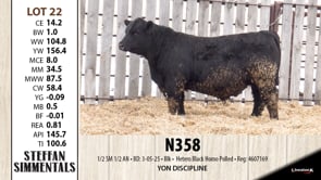 Lot #22 - N358