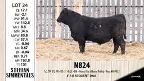 Lot #24 - N824