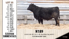Lot #25 - N189