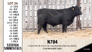 Lot #26 - N704