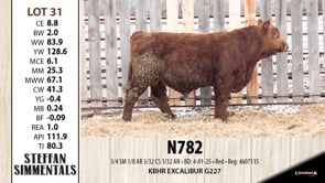 Lot #31 - N782