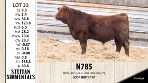 Lot #33 - N785