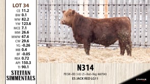 Lot #34 - N314