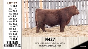 Lot #37 - N427