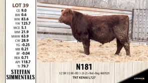 Lot #39 - N181