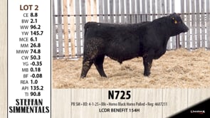 Lot #2 - N725