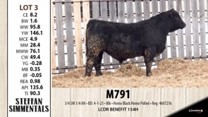 Lot #3 - M791