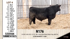 Lot #4 - N176