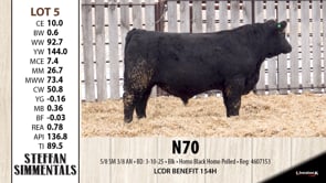 Lot #5 - N70