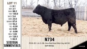 Lot #11 - N734