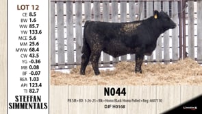 Lot #12 - N044