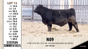Lot #13 - N09